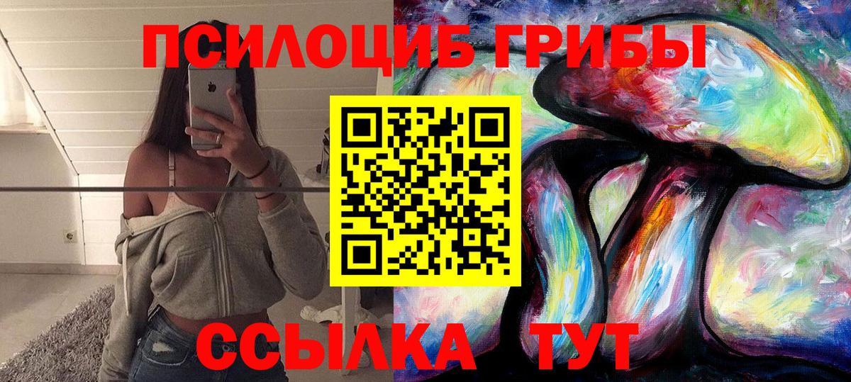 Псилоцибиновые грибы Cubensis Когалым