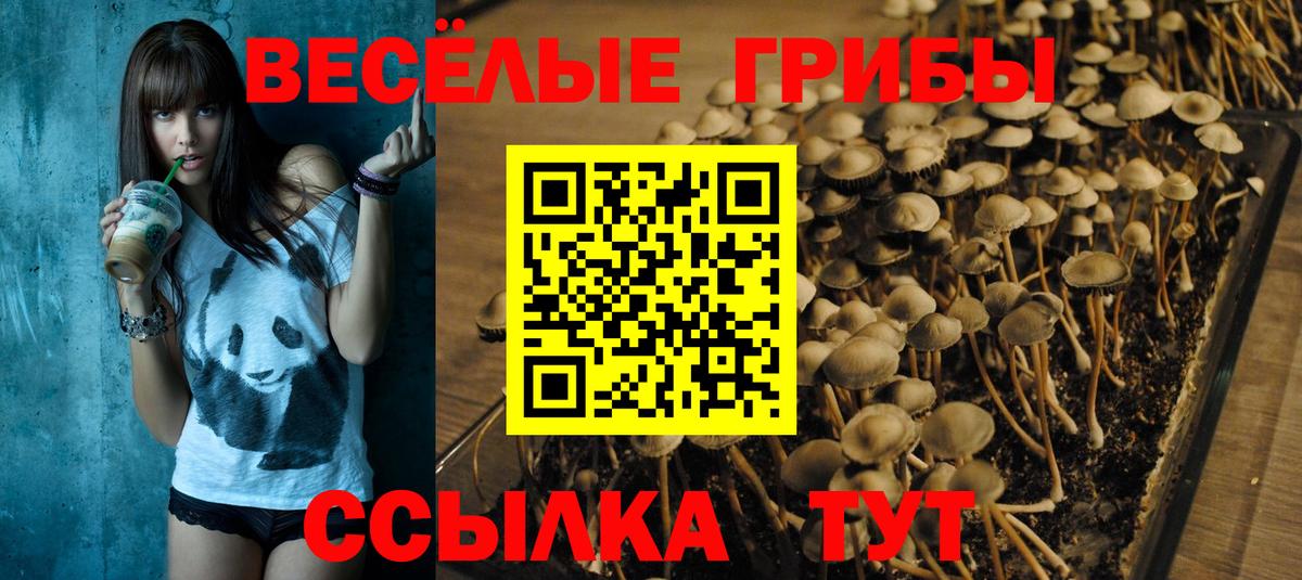 Псилоцибиновые грибы прущие грибы  Вход с VPN  Галлюциногенные грибы ЛСД  Когалым 